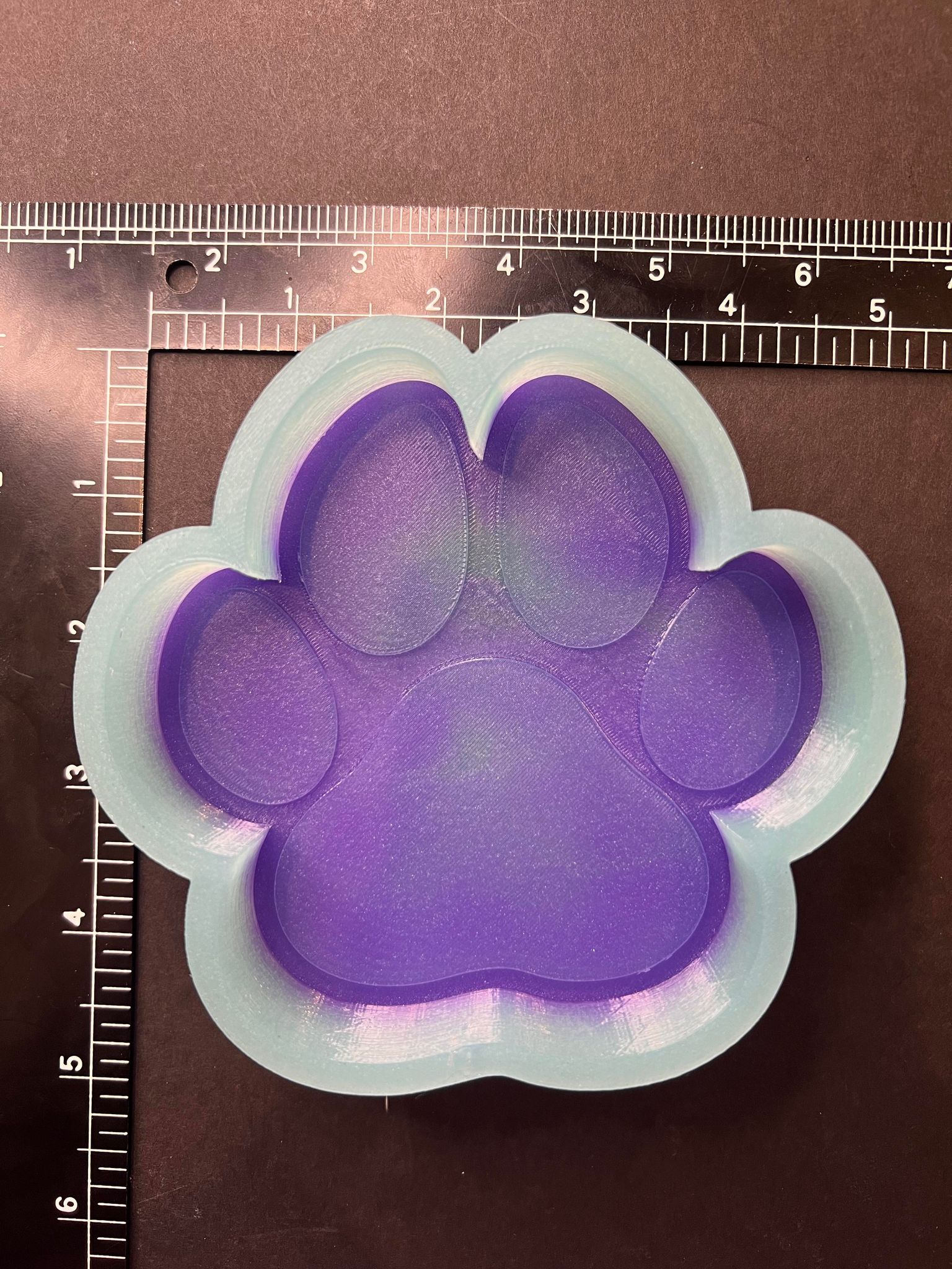 (C731) Paw Print Silicone Mold