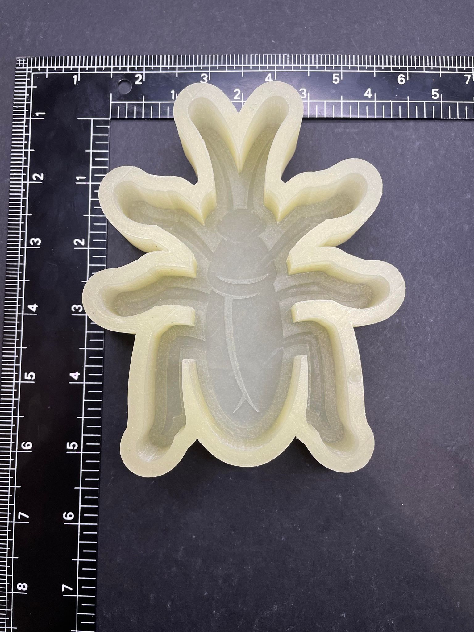 (B1626) Cockroach Silicone Mold